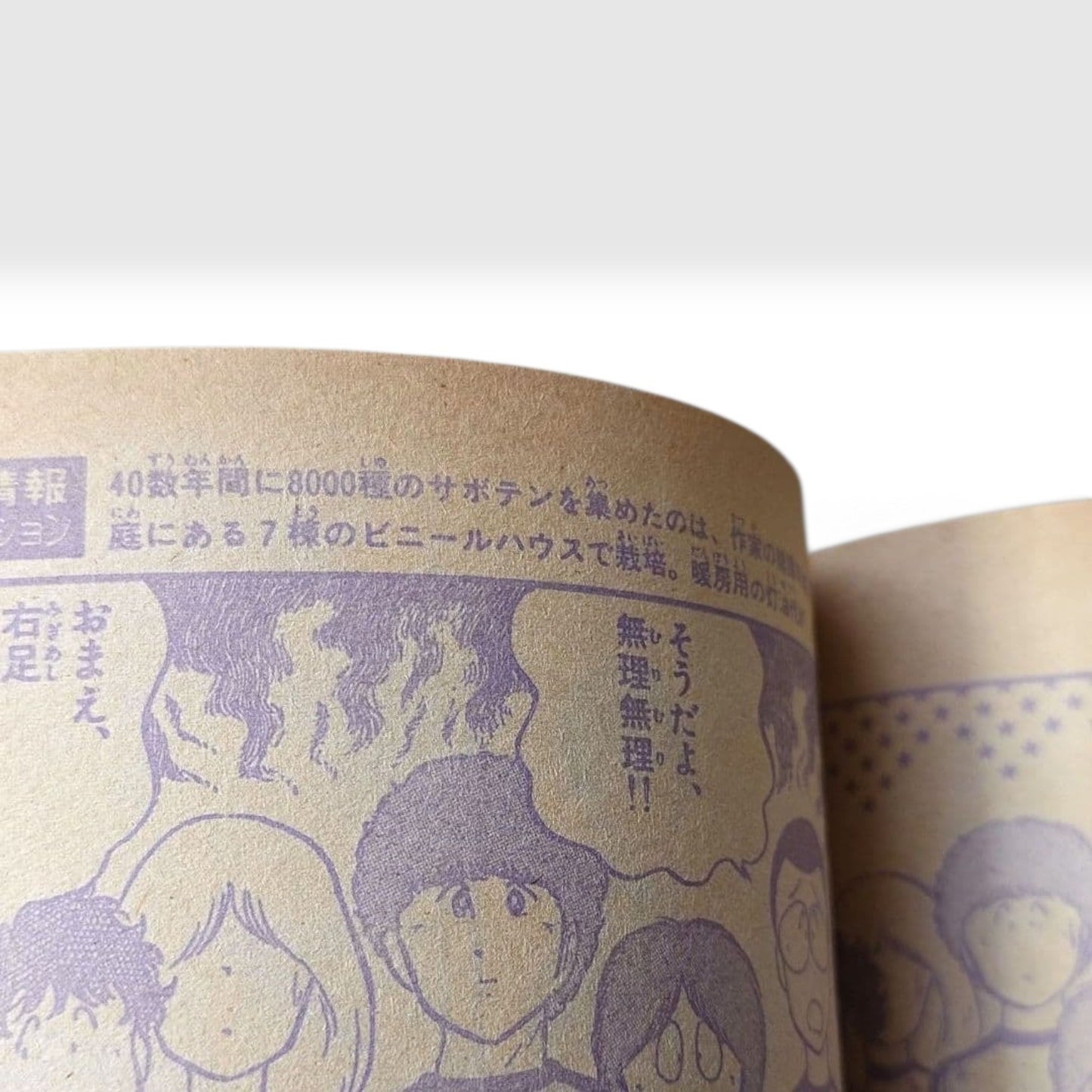 Weekly Shonen Sunday 1981 #36 Touch Debut First Chapter Mitsuru Adachi Manga Jap