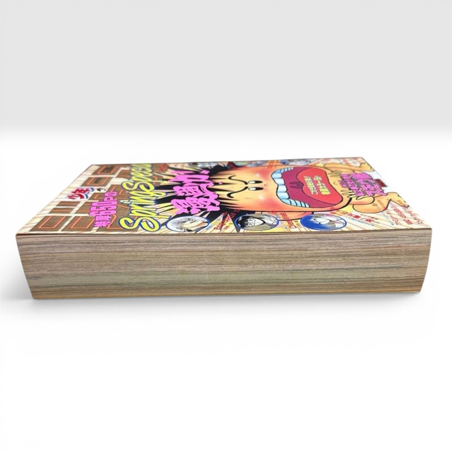 Shonen Jump 1994 Spring Special Eiichiro Oda Ikki Yakou Pre One Piece