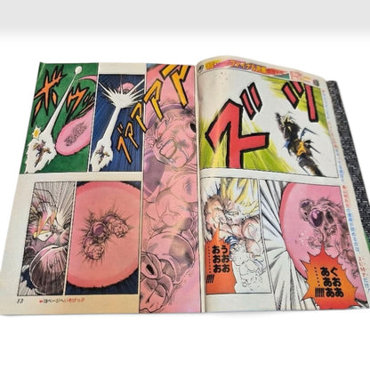 Weekly Shonen Jump 1991 No.21-22 Dragon Ball Cover Poster Japanese Vintage