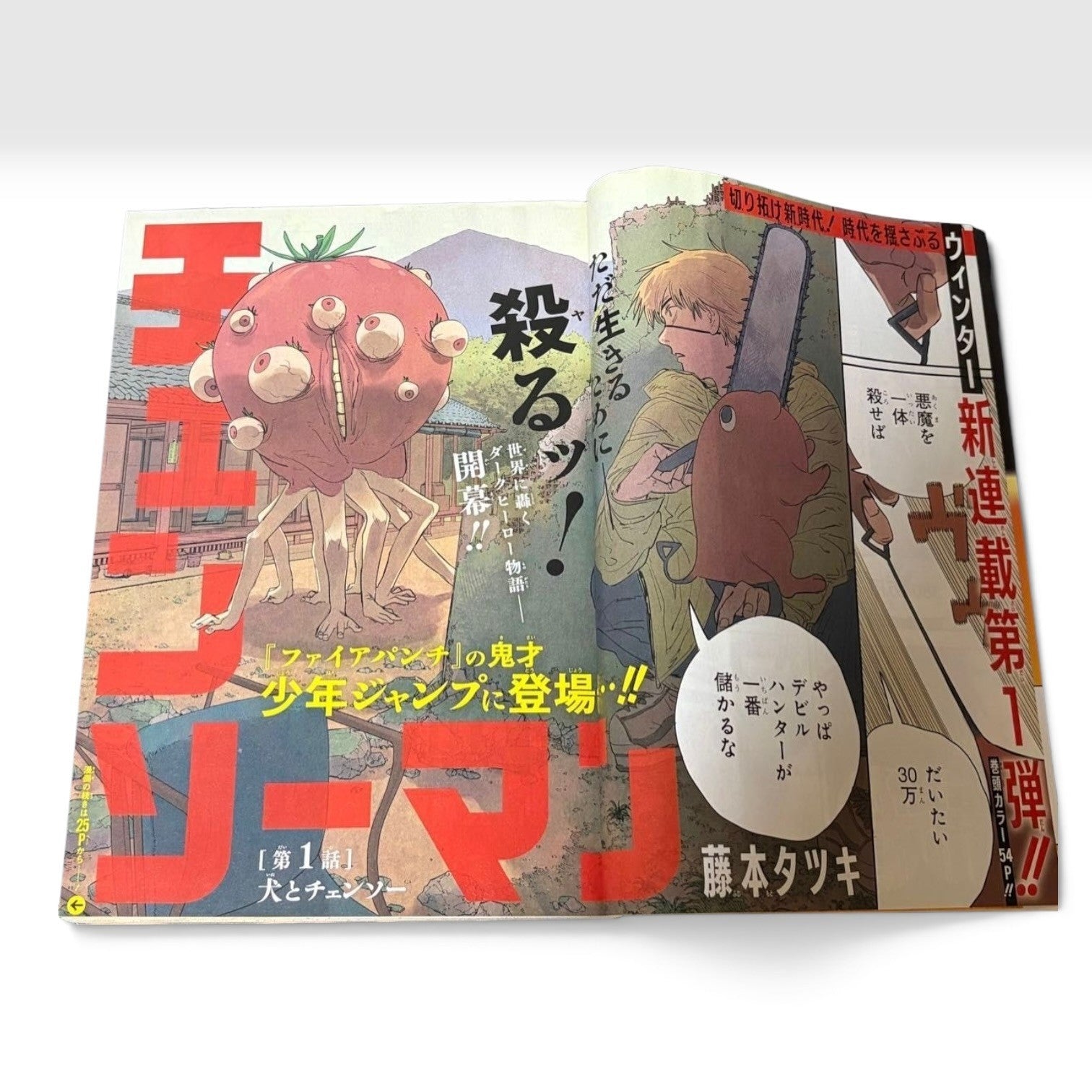 Weekly Shonen Jump 2019 No.1 Chainsaw Man The First Episode Magazine Comic Manga