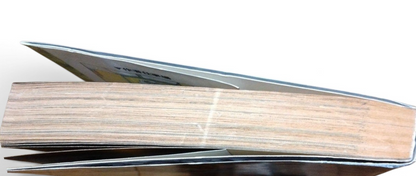 Parasyte Kiseiju Vol.1 1st Edition 1st Printing Japanese Manga Hitoshi Iwaaki